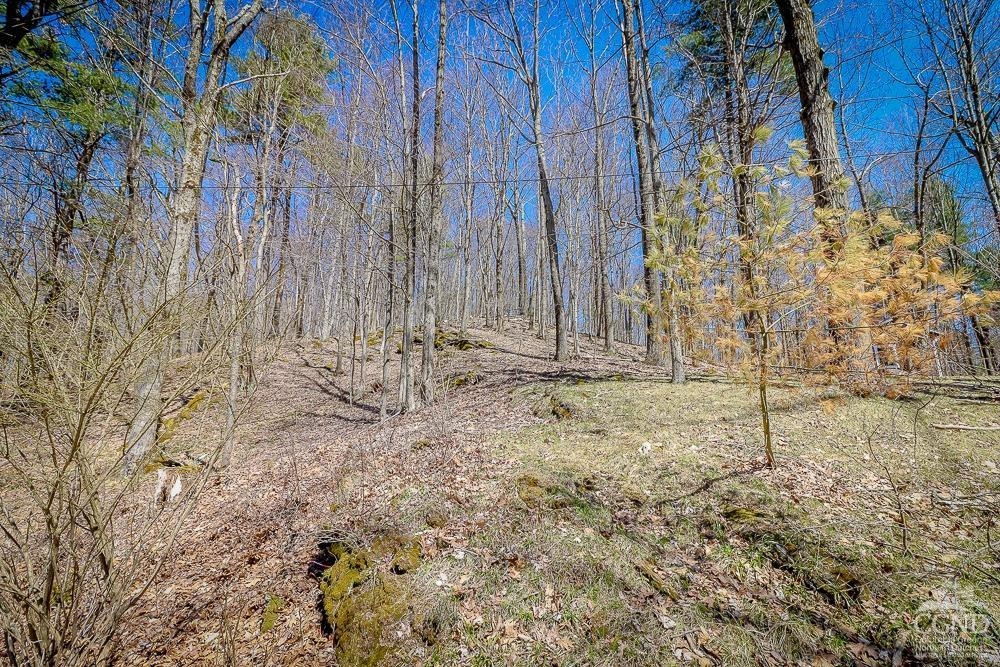 84 Old Hudson Turnpike