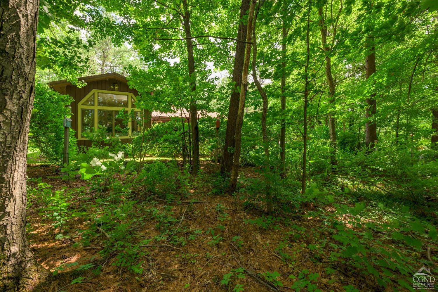 3264 County Route 9