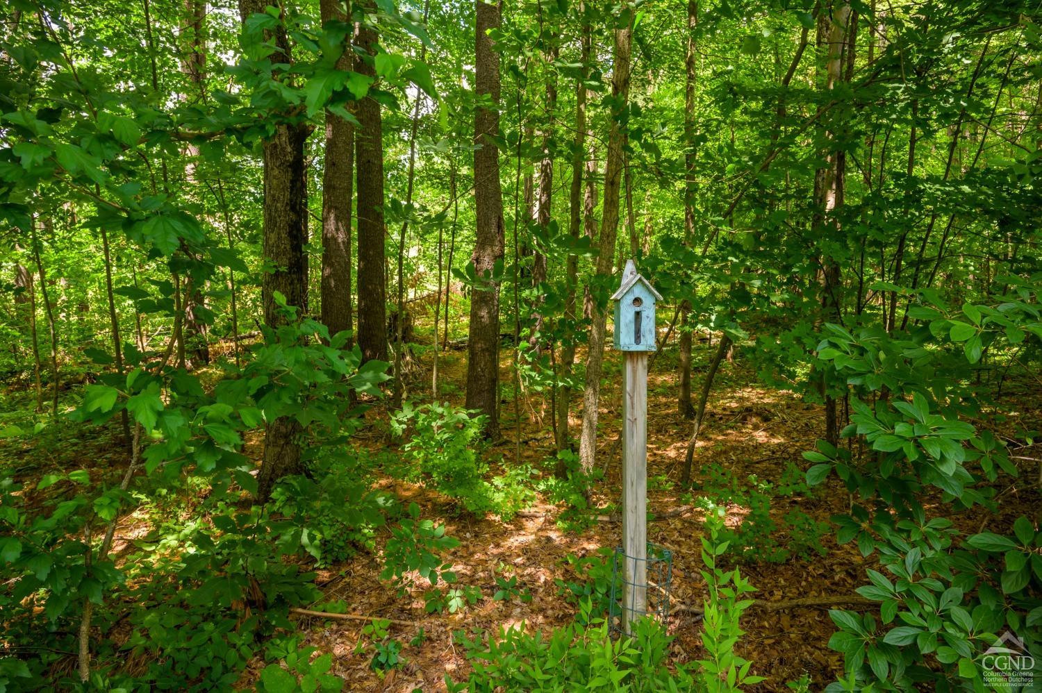 3264 County Route 9