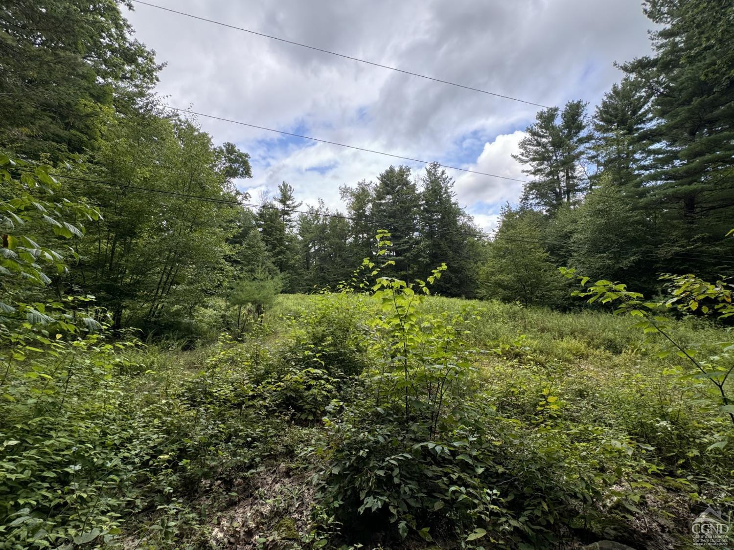200 Fire Hill Road