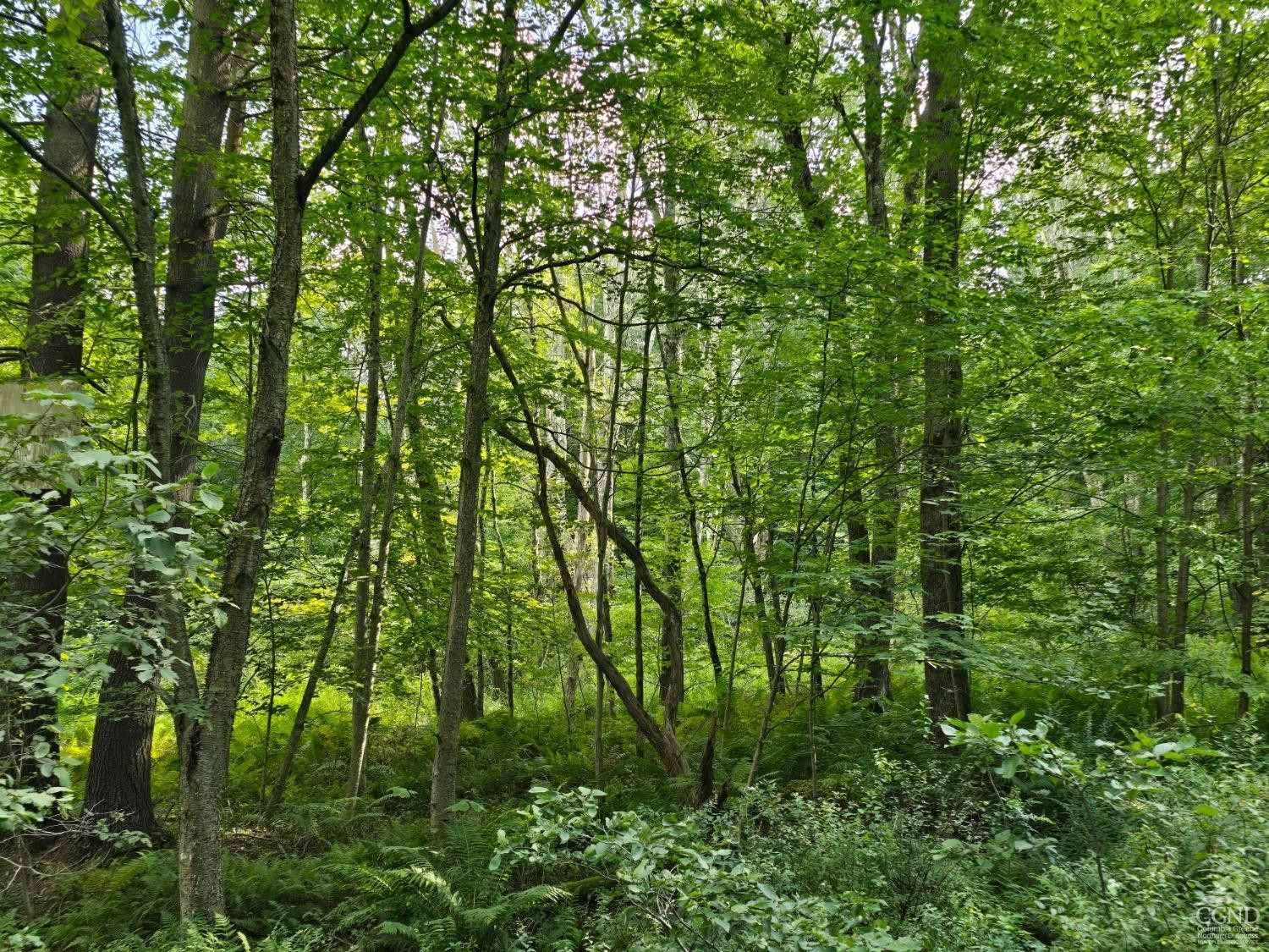 0 Middle Road