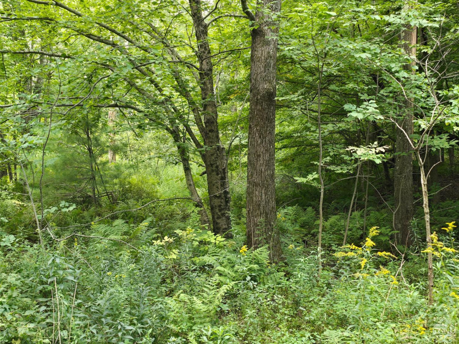 0 Middle Road