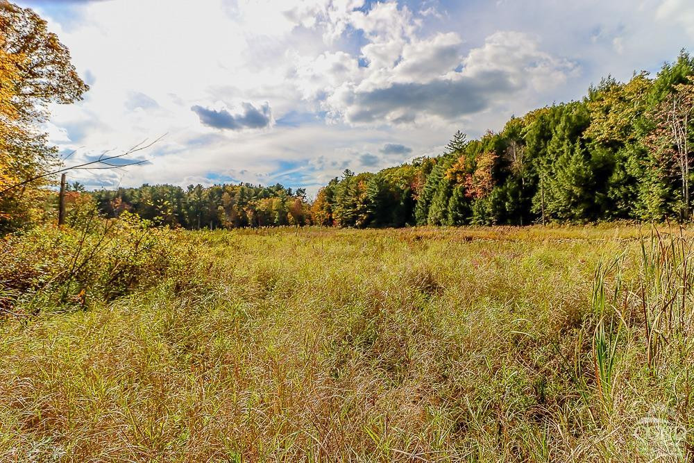 13149 State Route 22