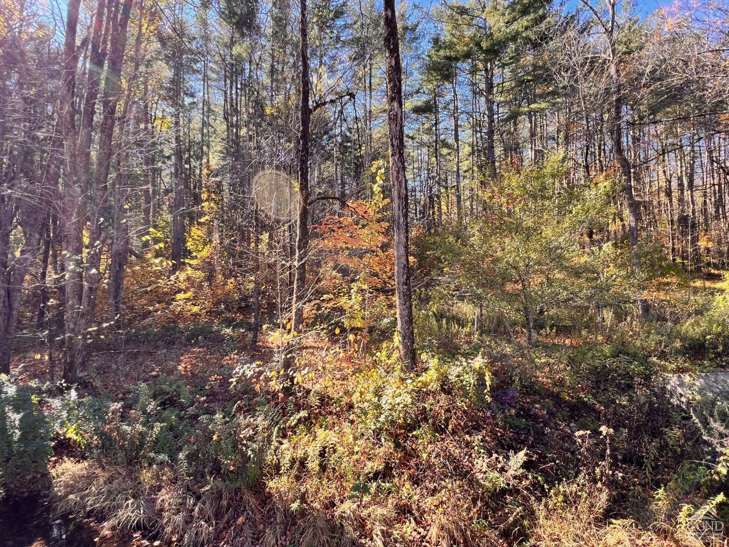 61 Dugway Road