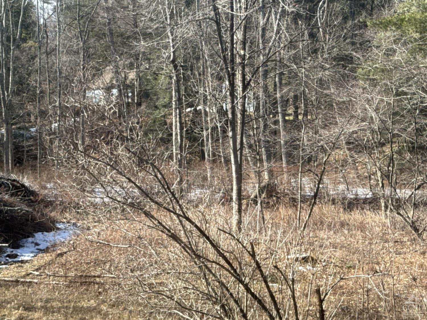 287 Route 71