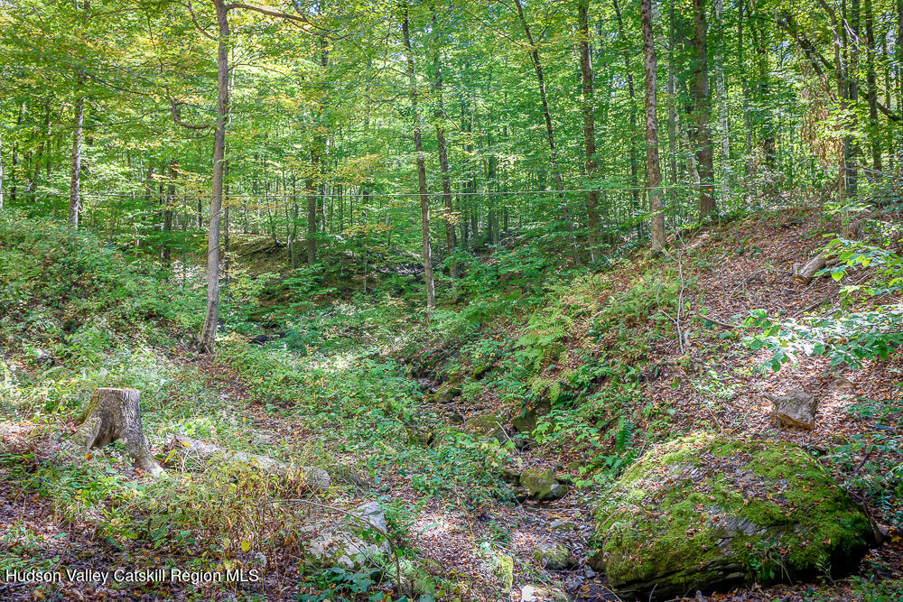 217 Chair Factory Road