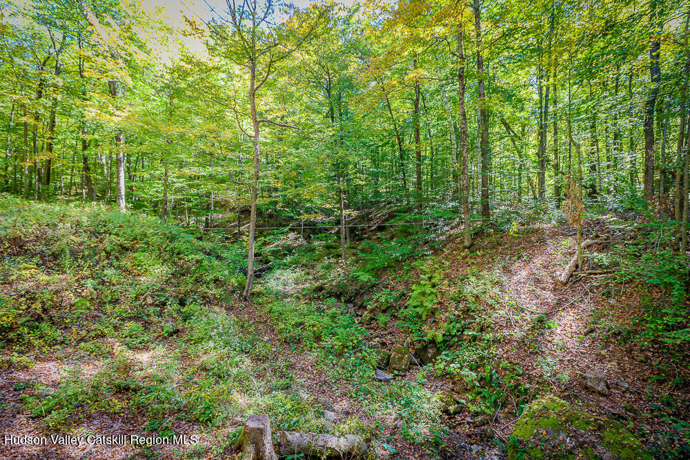 217 Chair Factory Road