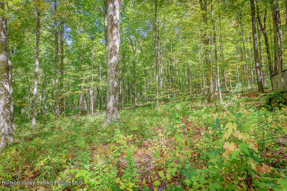 217 Chair Factory Road