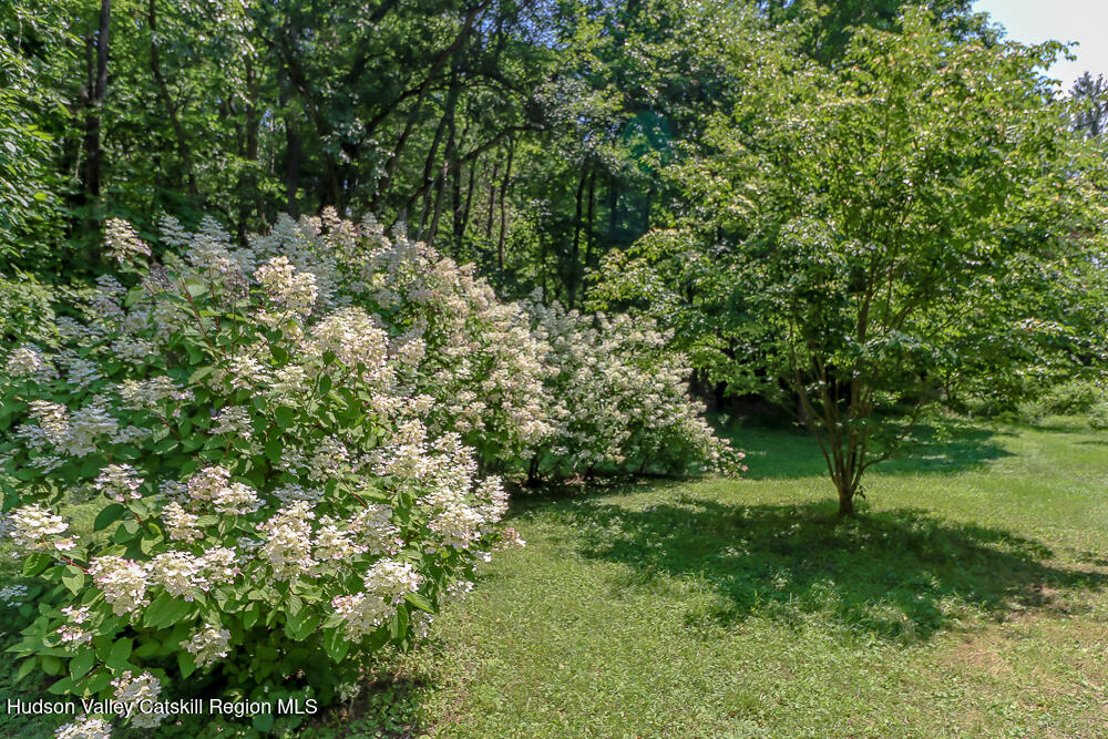 277 Clark Road
