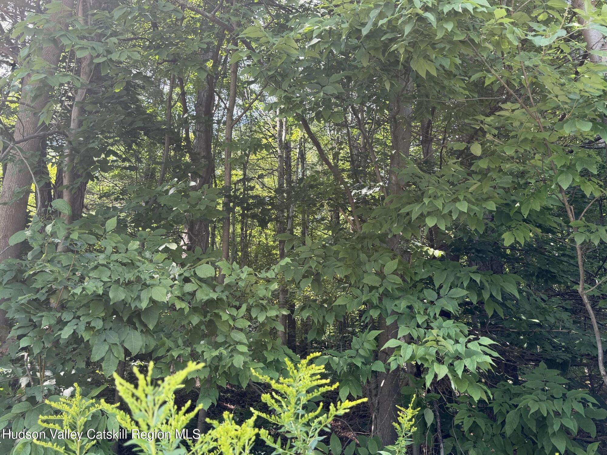 0 Ny 22