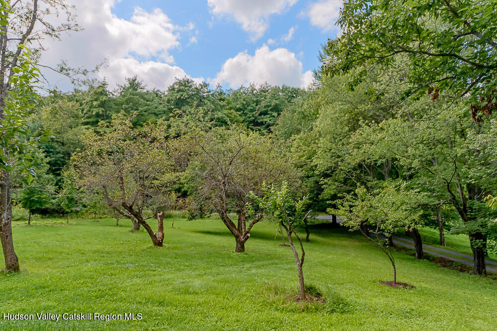 2456 County Route 9