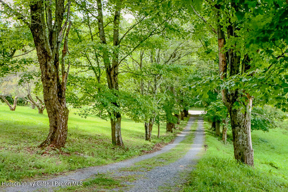 2456 County Route 9