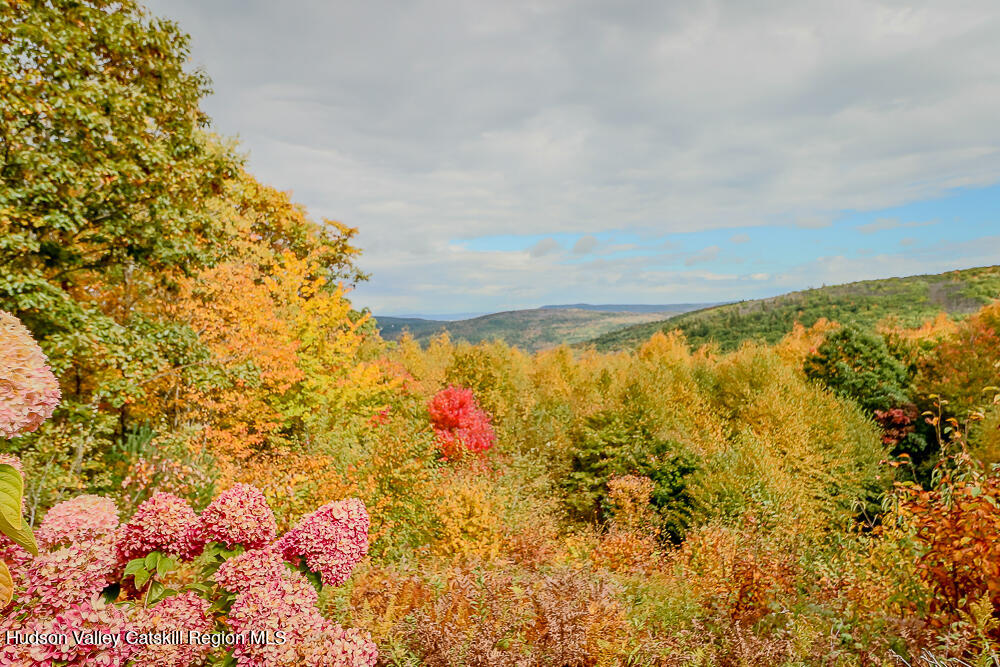 295 Mercer Mountain Road
