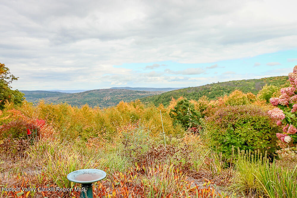 295 Mercer Mountain Road