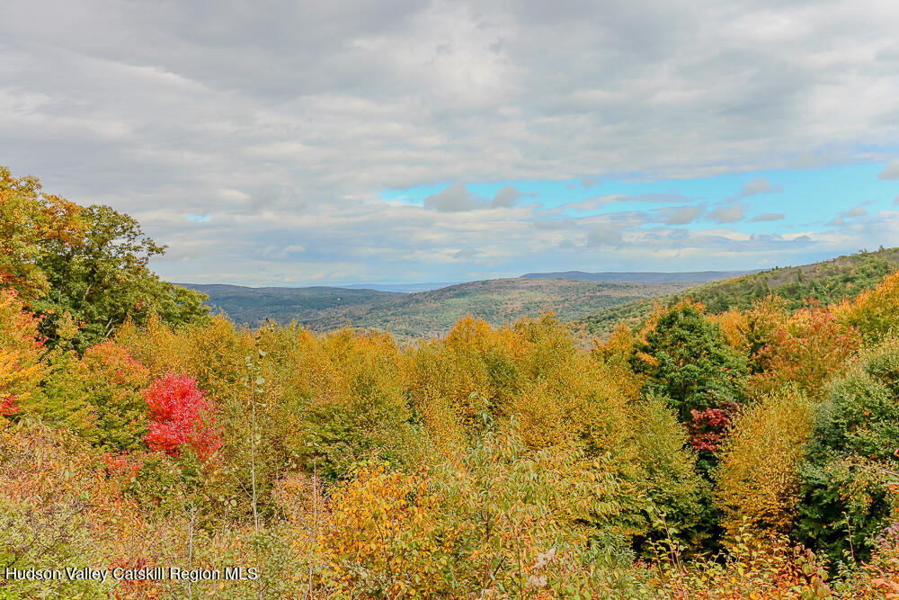 295 Mercer Mountain Road