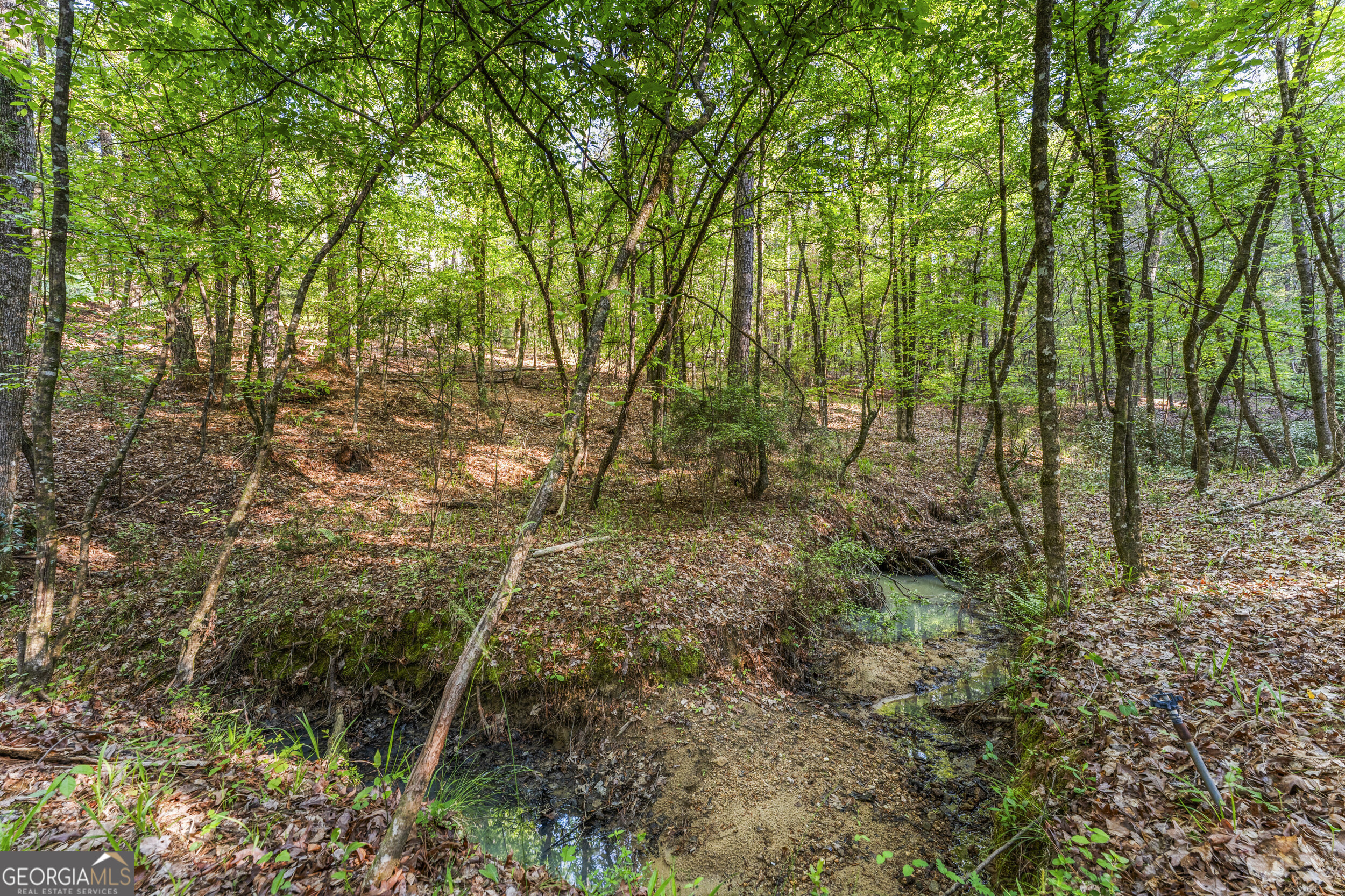 4 Mountain Ridge Court