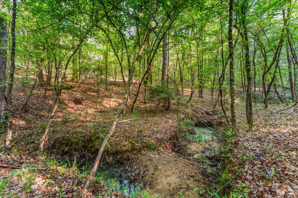 4 Mountain Ridge Court