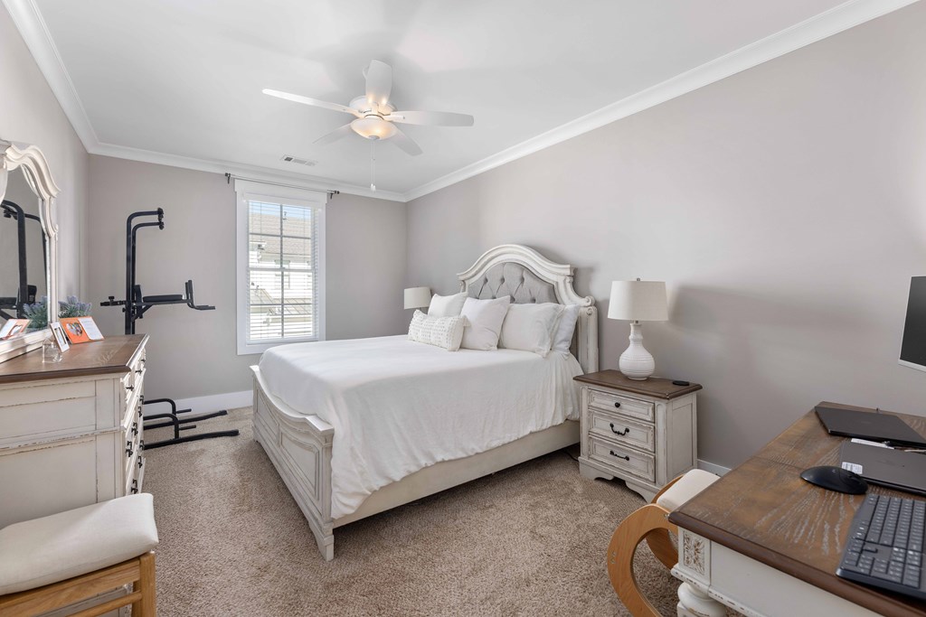 3411 Confetti Blush Drive