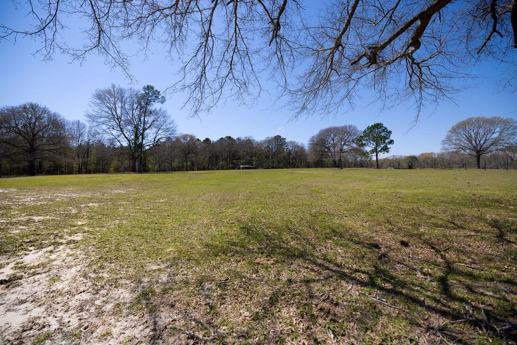 47 Whitetail Road
