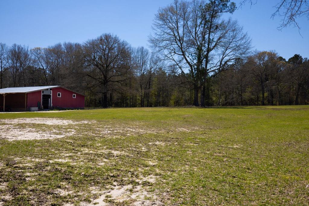 47 Whitetail Road