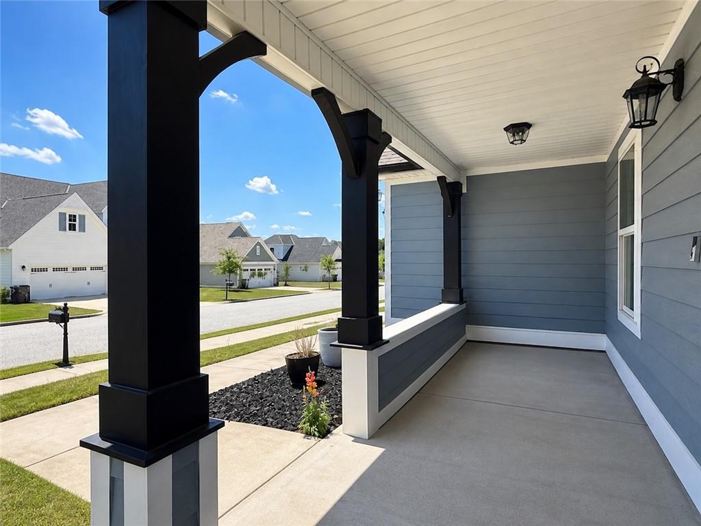 62 Ivy Loop