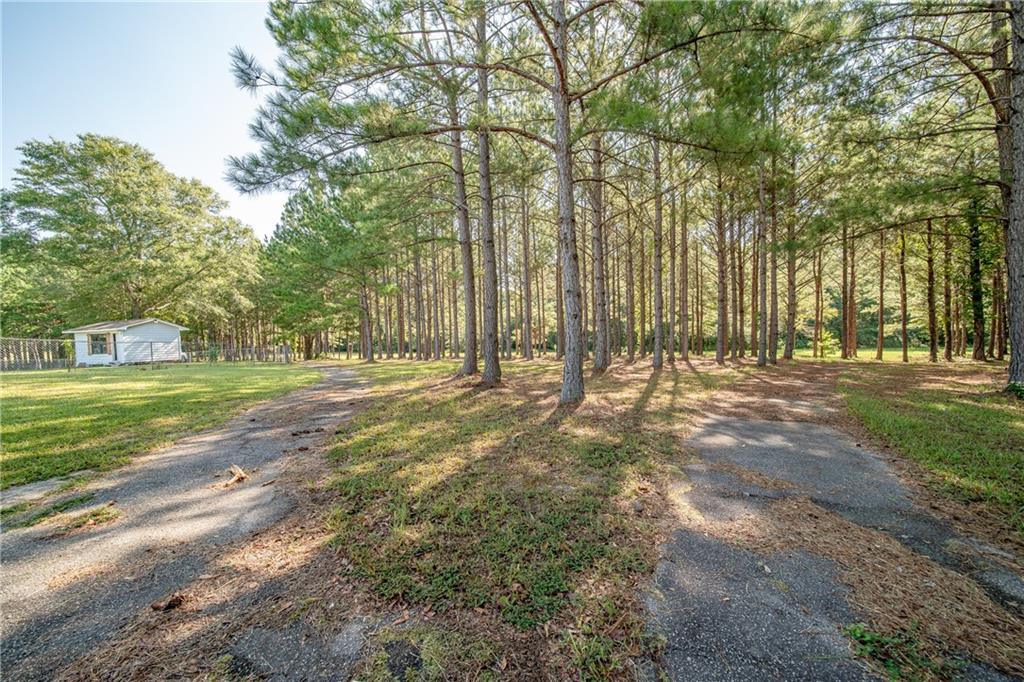 1245 Lee Road 197