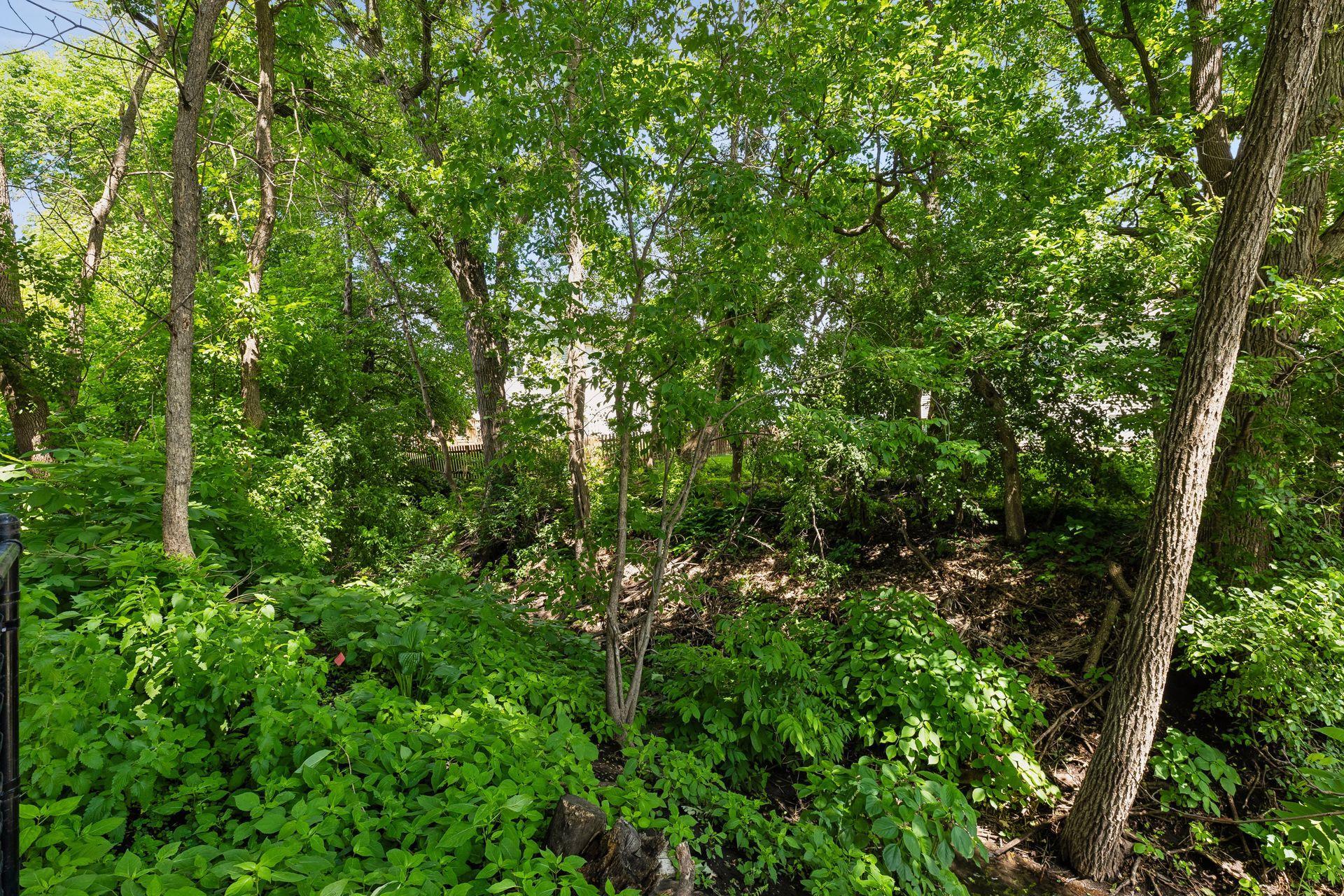 1417 Mcknight Circle