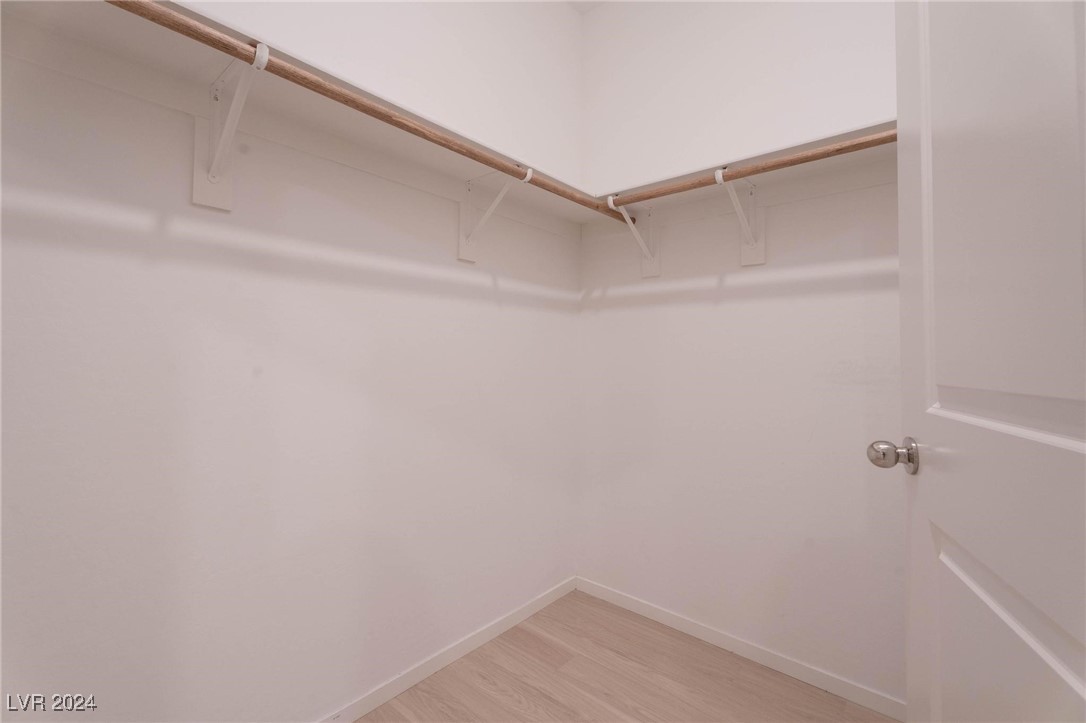 524 Mossy Cup Street 411