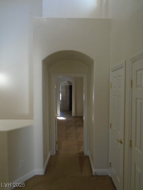 1113 TROPICAL STAR Lane 2