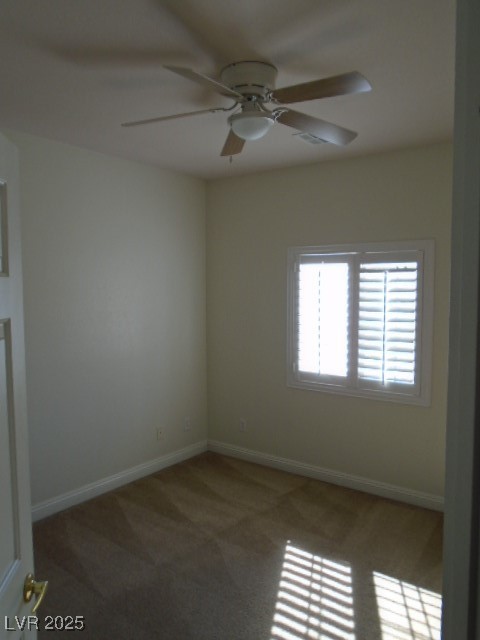 1113 TROPICAL STAR Lane 2
