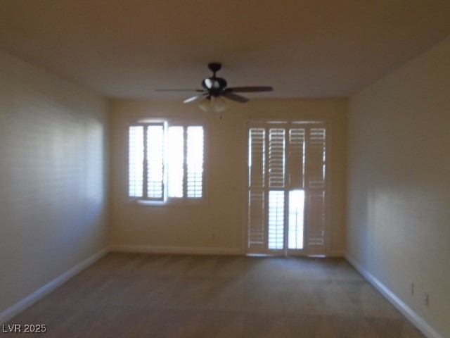 1113 TROPICAL STAR Lane 2