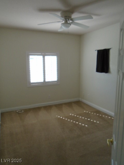 1113 TROPICAL STAR Lane 2