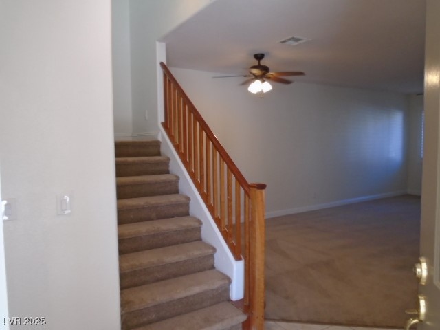 1113 TROPICAL STAR Lane 2