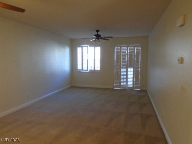 1113 TROPICAL STAR Lane 2