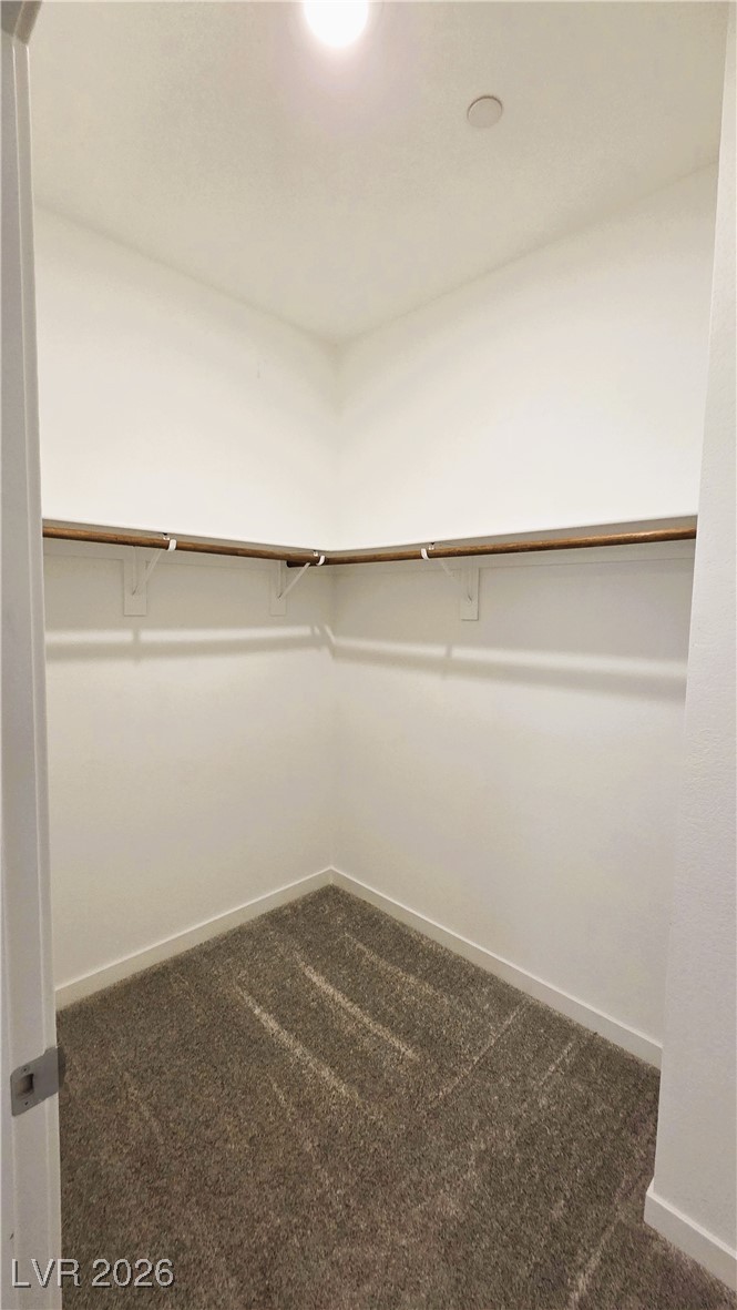Empty walk-in closet with carpeted flooring and wooden clothes rods along two walls.