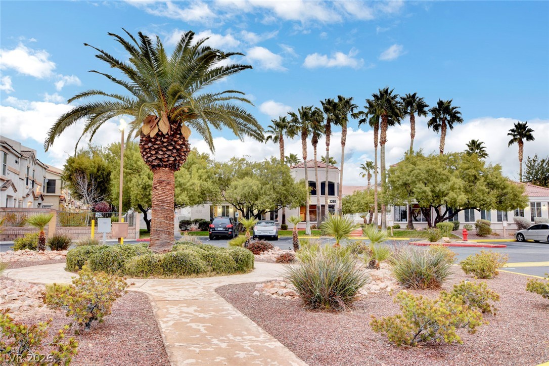 3290 Dragon Fly Street
