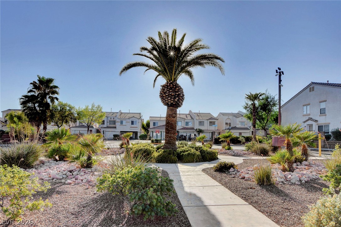 3290 Dragon Fly Street