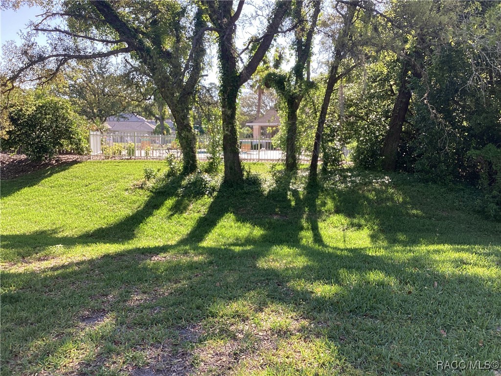 5 W Byrsonima Loop