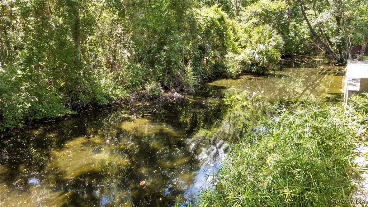 8944 W White Dogwood Drive