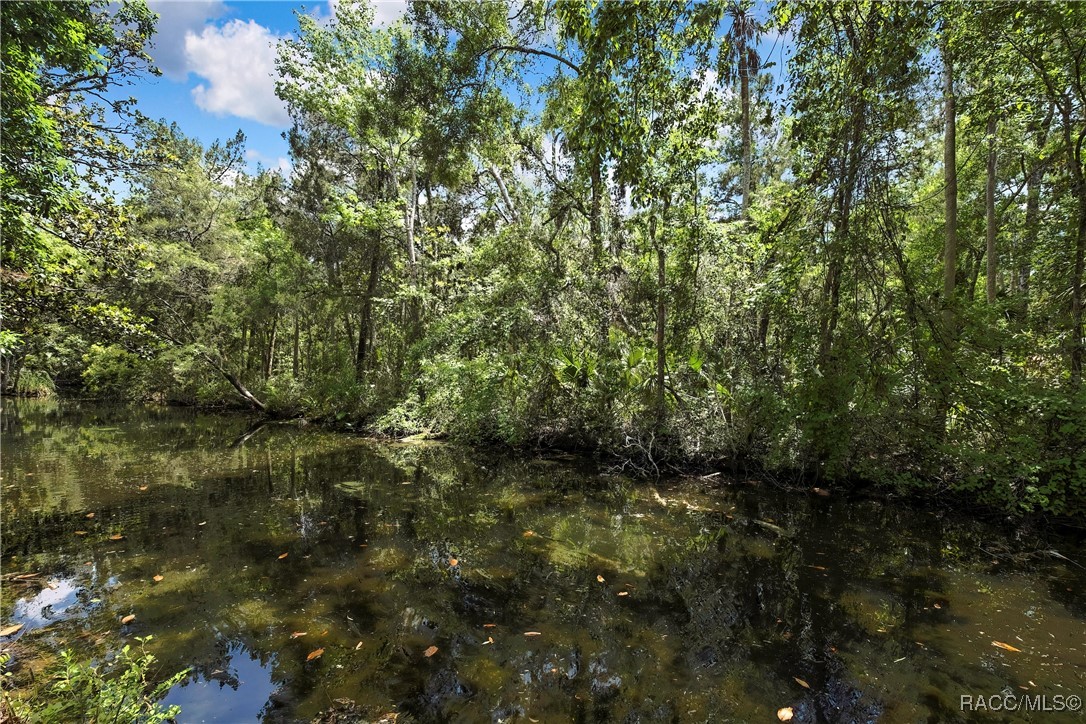 8944 W White Dogwood Drive