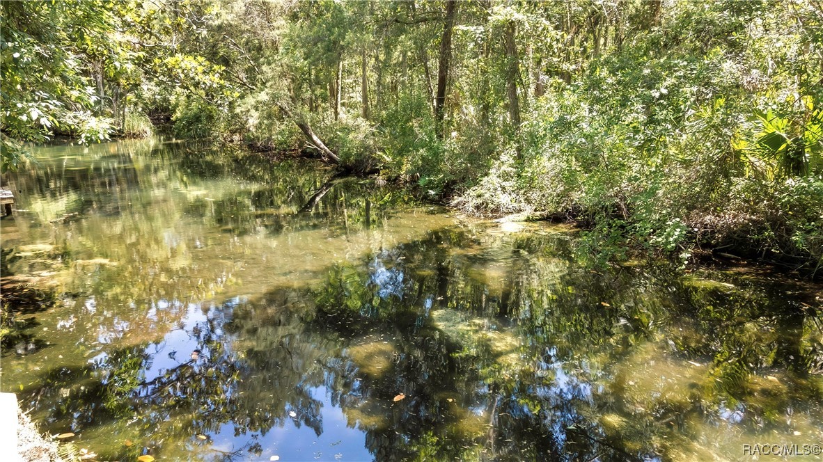 8944 W White Dogwood Drive