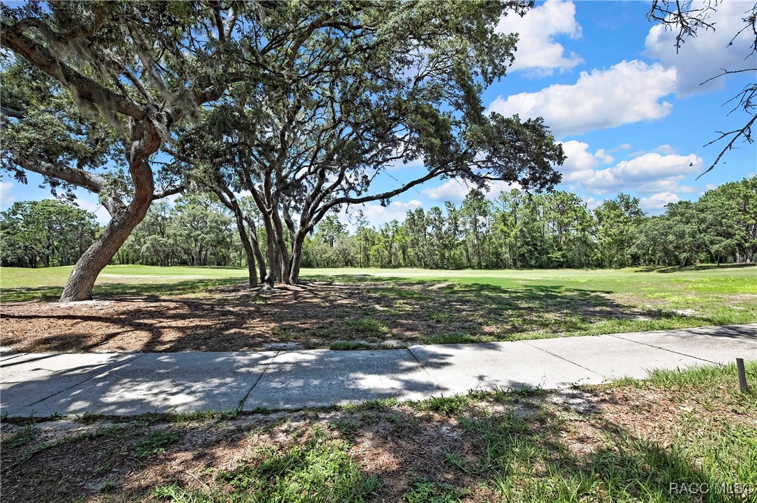 6 Strawood Point