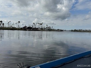 10203 Chassahowitzka River