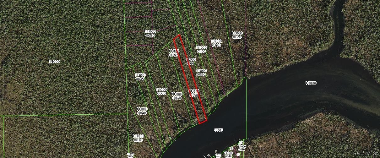 10203 Chassahowitzka River