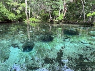 10203 Chassahowitzka River