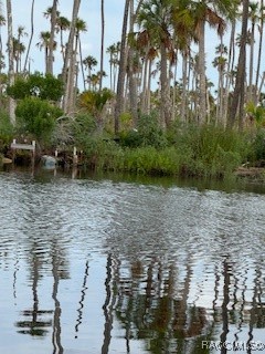 10203 Chassahowitzka River