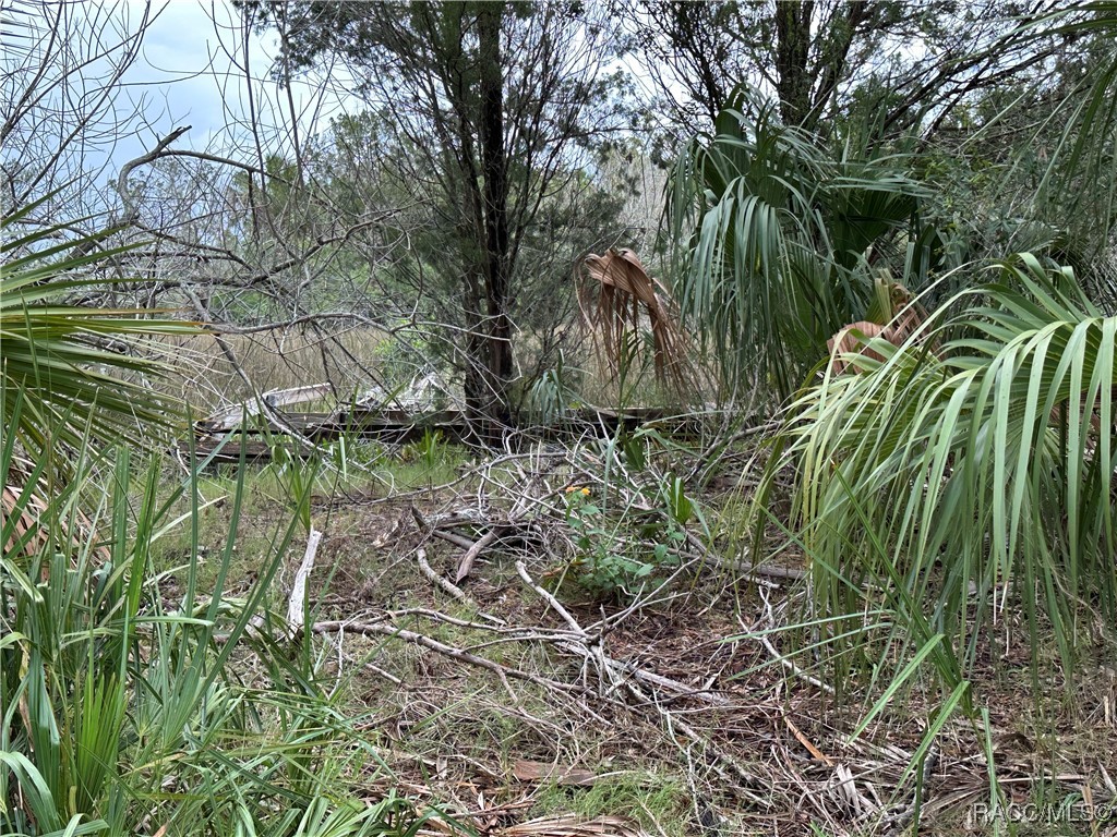 12345 W Standish Drive