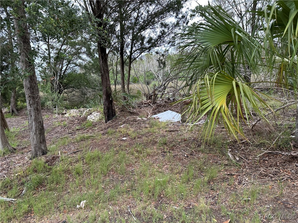 12345 W Standish Drive