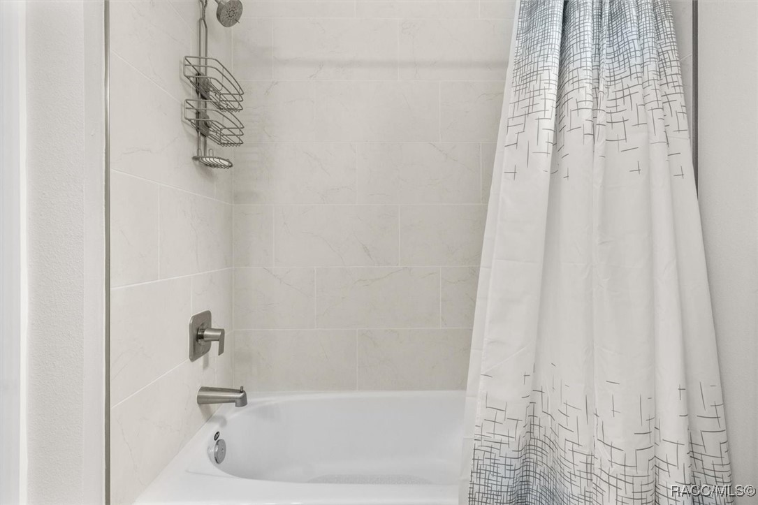 45 Black Willow Street