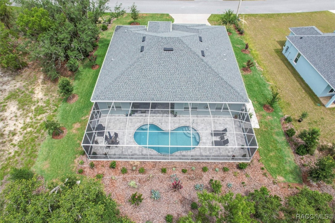 45 Black Willow Street